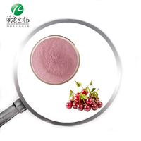 2024 nouveau produit arrivée de qualité alimentaire lyophilisé vitamine C acérola cerise extrait VC poudre 25%