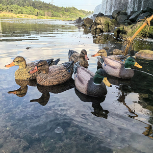 Vịt săn mồi trang trí sân vườn vịt vịt nổi săn mồi mồi - Product Image 5