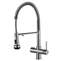 Robinet d'évier de cuisine avec mitigeur eau chaude/froide, 3/4/5 voies, double poignée, cartouche céramique et filtre à eau – Échantillon d'usine