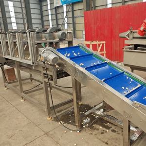Línea de Máquinas Peladoras, Clasificadoras y Separadoras de Ajo Hadof para Plantas de Procesamiento de Vegetales, Larga Vida Útil - Product Image 2