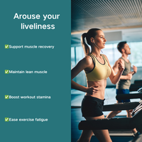 Capsules de complément HMB à base de plantes pour hommes et femmes amateurs de fitness, capsules de HMB Calcium, bêta-hydroxy-bêta-méthylbutyrate, OEM ODM