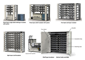 Incubadora de Huevos de Pescado CATAQUA, Equipo Moderno para Piscifactorías, Diseño de Alta Eficiencia Tipo Estante para Salmones, 1 Año de Garantía - Product Image 4