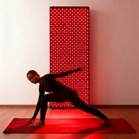Appareil de thérapie corporelle à haute puissance REDSKY 6000W, panneau de thérapie par lumière rouge et infrarouge proche 660nm 850nm pour usage domestique, spa et salon