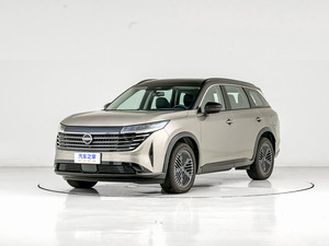 รับคำสั่งซื้อแบบกำหนดเอง รถยนต์ SUV ขับเคลื่อนสี่ล้อ Dongfeng <span class=keywords><strong>Terra</strong></span> RWD ปี <span class=keywords><strong>2023</strong></span> พร้อมเบาะหนังแท้ ล้อแม็ก R18 เกียร์อัตโนมัติ ใช้เชื้อเพลิงเบนซิน รุ่นใหม่ C - Product Image 6