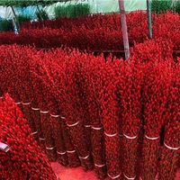 2025 Natuurlijke Salix Silver Willow Lentefestival Gedroogde Bloemenplanten Pussy Willow voor Nieuwjaarsdecoratie Thuis