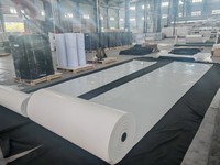 Cages à volailles et bandes de collecte de fumier en plastique Centry pour fermes avicoles - Plaques en plastique PP Garantie 5 ans Fabricant Jiangsu