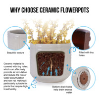 Pot de fleurs décoratif pour plantes d'intérieur avec trou de drainage, pot en céramique, décoration de jardin, pots de fleurs