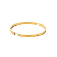 Bracelets et Joncs de Luxe Tendance en Acier Inoxydable Plaqué Or 14k 18k avec Zircon Cubique, Bracelets de Marque de Créateur pour Femmes