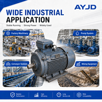 Moteur électrique asynchrone d'occasion 185 kW triphasé 4 pôles 1500 tr/min, résistant aux chocs, pour entraînement principal de concasseur, usage minier