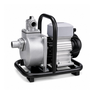 Bomba de Agua Centrífuga QY con Salida de 50 mm, Acero Inoxidable, Motor Eléctrico de 1 HP para Sistemas de Riego Agrícola - Product Image 6