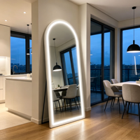 Miroir LED intelligent de forme ovale avec cadre en alliage d'aluminium, design décoratif écologique, mural ou sur pied, pour la maison et le commerce