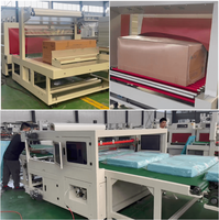 Machine d'emballage thermorétractable électrique automatique Focus Machinery avec PLC et roulement pour l'emballage de grands cartons de produits alimentaires et de boissons