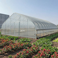 Serre en feuille de polycarbonate en gros avec système de chauffage d'ombrage d'irrigation par ventilation accepter la personnalisation