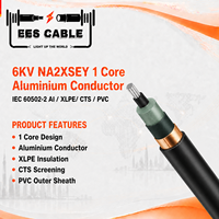 Câble d'alimentation moyenne tension NA2XSEY 1 conducteur en aluminium, isolé XLPE, gaine PVC, non armé, conforme à la norme IEC 60502-2