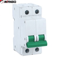 Disjoncteur miniature Wanbo-241 MEB2-80 2P C63 6kA 63A 400V IEC 60898-1 – Prix usine – Vente chaude