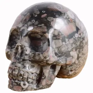 Venta al por mayor, fósiles de insectos, calaveras mágicas de cristal, talla para decoración o regalo