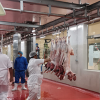 Solution industrielle d'abattage du bétail, ligne de transformation de la viande de chèvre et d'agneau