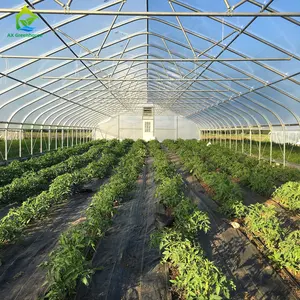 Baixo preço claro galvanizado aço casas verdes agricultura comercial ventilado para plantas com acessórios