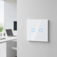 Sakelar Sentuh Dinding Standar EU Bingoelec Wifi Tuya Smart, Bekerja dengan Google Alex Zigbee, Sakelar Lampu Kaca Tekan untuk Rumah