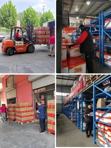 Motore Tergicristallo Originale SINOTRUK HOWO YZ167174100006, Ricambio per Parti di Ricambio Sitrak C7h - Product Image 6