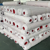 Clôture de sécurité en maille plastique HDPE PE industrielle, barrière de sécurité pour jardin agricole avec géogrilles pour protéger le gazon