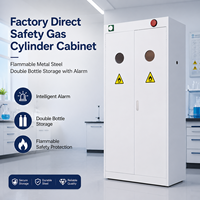 Armoires de stockage intelligentes pour bouteilles de gaz inflammables en acier, à double compartiment, avec alarme, directement de l'usine