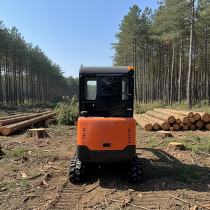 Soluzione per Spazi Ristretti: Larghezza Ottimizzata di 2 Tonnellate, Facile Accesso al Garage, Affronta Sfide Uniche di Spazio - Product Image 1