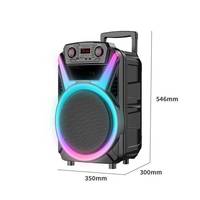 Speaker Trolley Nirkabel ABS12106 dengan Roda, Speaker Karaoke Pesta, Lampu RGB Flame, Subwoofer Audio Portabel untuk Luar Ruangan