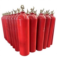 Bouteilles de gaz CO2 en acier sans soudure pour usage incendie (dioxyde de carbone)
