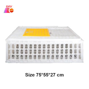 Nueva Jaula de Transporte de Pollos de Plástico para Granja, Tipo H, Capacidad para 10-20 Pollos - Product Image 4