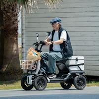 Quadricycle électrique miniature 13 pouces, sûr et stable, pour adultes, avec frein hydraulique sur 4 roues, siège réglable, batterie lithium 48V 500W