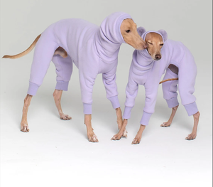 Mono italiano de yogurt, bandana, <span class=keywords><strong>galgo</strong></span> - Product Image 3