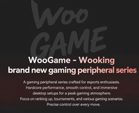 WooKing GM Factory Grosir OEM Logo Kustom Mouse Gaming Nirkabel Dual Mode 1600 DPI Isi Ulang rgb mouse nirkabel