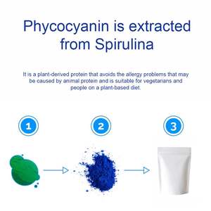 Organik mavi Spirulina tozu Phycocyanin yüksek Protein bağışıklık sistemi desteği sağlık için gıda sınıfı vakum paketlenmiş şişe - Product Image 5