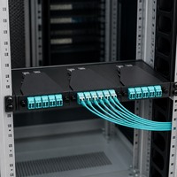 Module de cassette MTP/MPO 24F, 12x LC Duplex vers 2x MTP-12 OM3 Aqua, montage en rack 1U pour centre de données 40G/100G