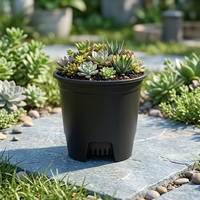 Petits pots de fleurs noirs pour pépinière, fabriqués en Chine, en PP, avec trous de drainage, durables, légers, biodégradables, vente en gros, style Japandi