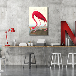 Impression sur toile suspendue Art Déco John <span class=keywords><strong>James</strong></span> Audubon Flamant rose américain et Heron bleu, décoration intérieure pour salon et chambre à coucher, vente en gros - Product Image 4