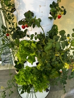 Nouveau système hydroponique vertical de jardinage aéroponique en serre agricole