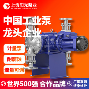 Pompe doseuse à membrane Shanghai Sunshine Pump Industry DJ-D2 en acier inoxydable 316L, électrique, haut débit 1300 L/H, hauteur de refoulement 8 M - Product Image 2