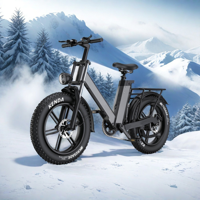 Wholesale Adult Electric Mountain Bike 1000W 48V Rear Hub Motor 60km/h Fat Tire Snow Electric Bicycle