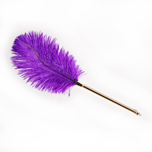 Bâtonnet à plumes Jiuai rouge, plumes douces pour les jeux coquins et érotiques, jouet pour adultes - Product Image 5