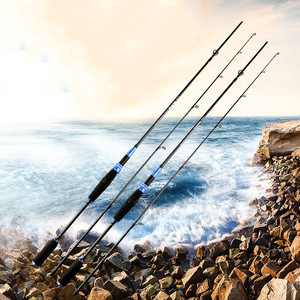 Caña <span class=keywords><strong>de</strong></span> <span class=keywords><strong>Pescar</strong></span> <span class=keywords><strong>de</strong></span> Fibra <span class=keywords><strong>de</strong></span> Carbono Personalizada Sección 2 para Agua Salada y Agua <span class=keywords><strong>de</strong></span> Mar, Venta <span class=keywords><strong>de</strong></span> Fábrica, la Mejor Relación Calidad-Precio para Pesca en el Mar, <span class=keywords><strong>Spinning</strong></span> y Casting - Product Image 5