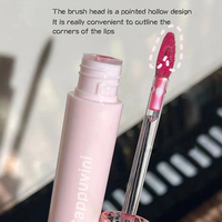 Cappuvini gros rose beauté maquillage 6 couleurs différentes velours rouge à lèvres pour dame 2023 nouveau Design lumière hydratant brillant à lèvres