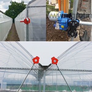 <span class=keywords><strong>Tunnel</strong></span> élevé agricole économique et durable pour une culture efficace - Product Image 6