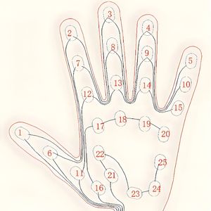 Capteur <span class=keywords><strong>de</strong></span> pression à couche mince flexible FSR capteur <span class=keywords><strong>de</strong></span> résistance portable pour une mesure précise <span class=keywords><strong>de</strong></span> la force <span class=keywords><strong>de</strong></span> préhension <span class=keywords><strong>de</strong></span> la main - Product Image 2