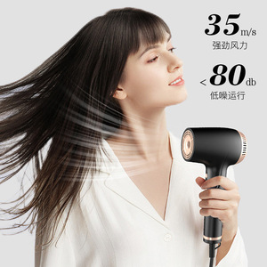 Hair Dryer F8116 Brushless Motor High Speed Ionic Household Quiet Electric With Concentrator And Diffuser Nozzle - Product Image 2