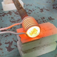 Le forgeage chaud en acier de générateur d'induction solide de forgeron à haute fréquence éteignant le réchauffeur d'induction usine 30KW