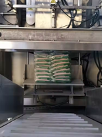 Prix d'usine Machine à ensacher à presse verticale automatique Remplissage de micro-sac de haricots Machine de remplissage de sac de haricots en polystyrène EPS