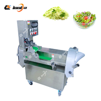 200kg/uur Wasmachine voor paarse kool, fruit, maïs en groentesalades met SUS 304 motor