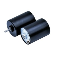 Moteur BLDC sans balais 12V 24V 5000 tr/min 5000h Diamètre du moteur 28 mm Longue durée de vie